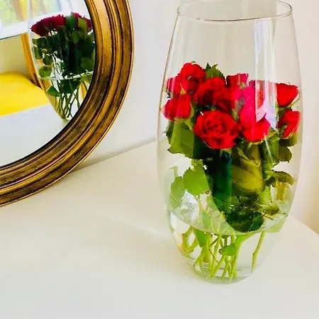 דירה Lux Crialy - 75 M2 - Free Parking טימישוארה