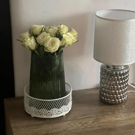 Lux Crialy - 75 M2 - Free Parking * Timișoara