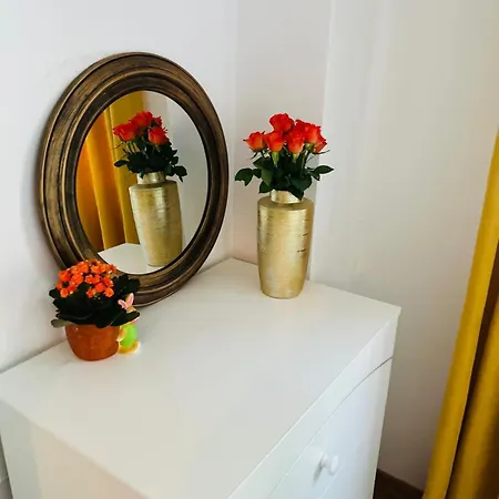 Lux Crialy - 75 M2 - Free Parking * טימישוארה