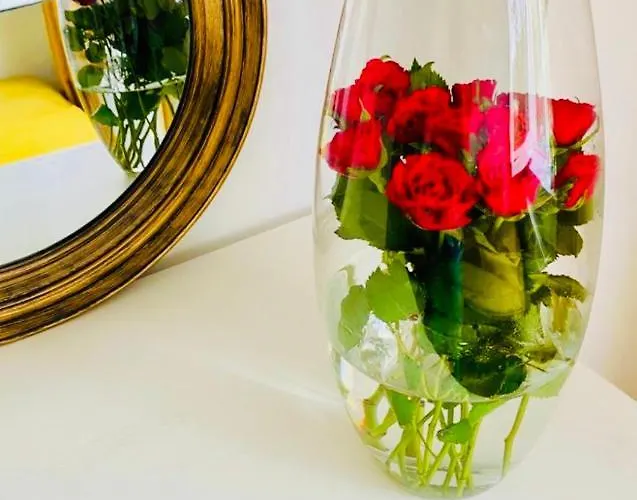 Apartament Lux Crialy - 75 M2 - Free Parking Timișoara