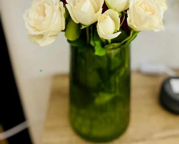 Lux Crialy - 75 M2 - Free Parking Timişoara