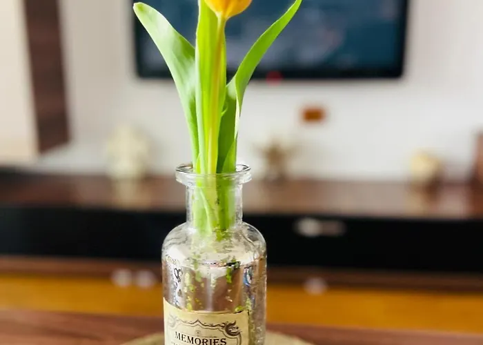 Lux Crialy - 75 M2 - Free Parking Apartament Timișoara